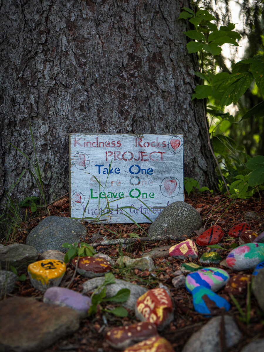 Kindness Rocks Project sign at the base of a large tree with painted rocks, Minden Ontario