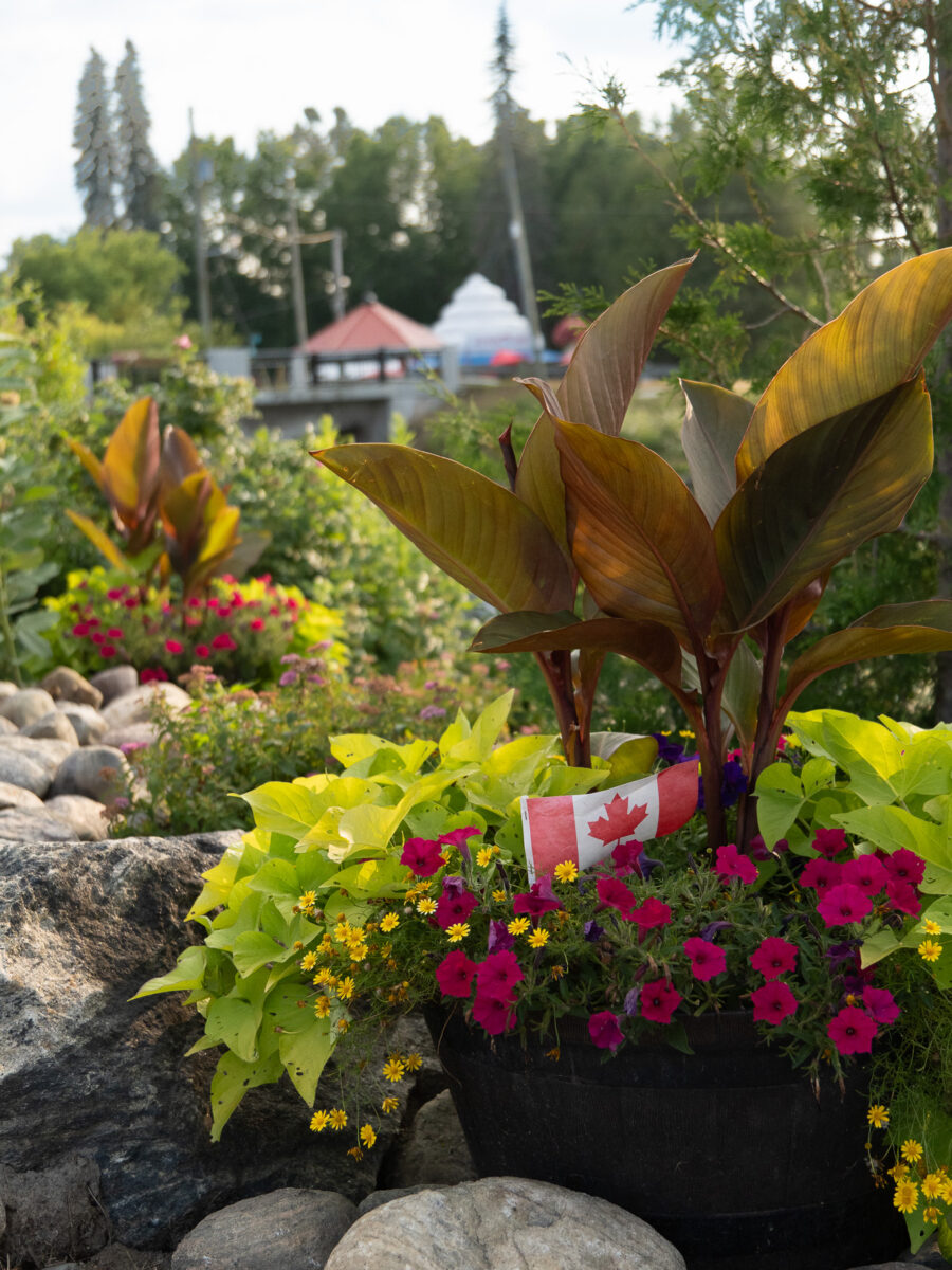 Flower planter with Canadian flag in a landscaped garden, Minden Ontario