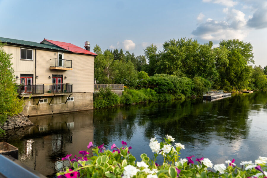 Buildings and docks along the Gull River with flowers in the foreground, Minden Ontario