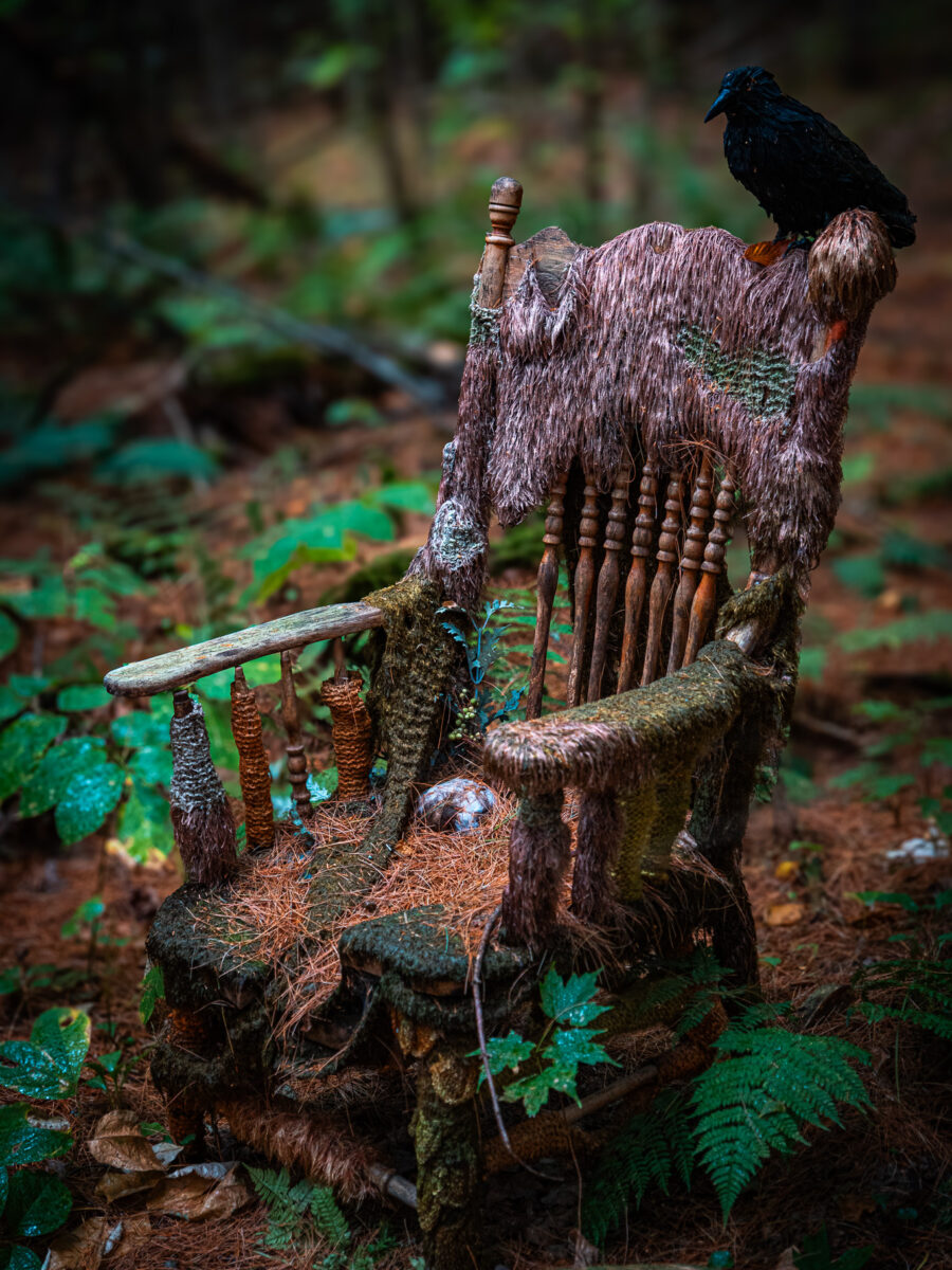 Haliburton Forest Wild Woods Hike Chair