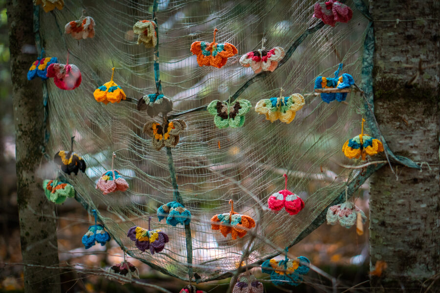 Haliburton Forest Wild Woods Butteryfly Art