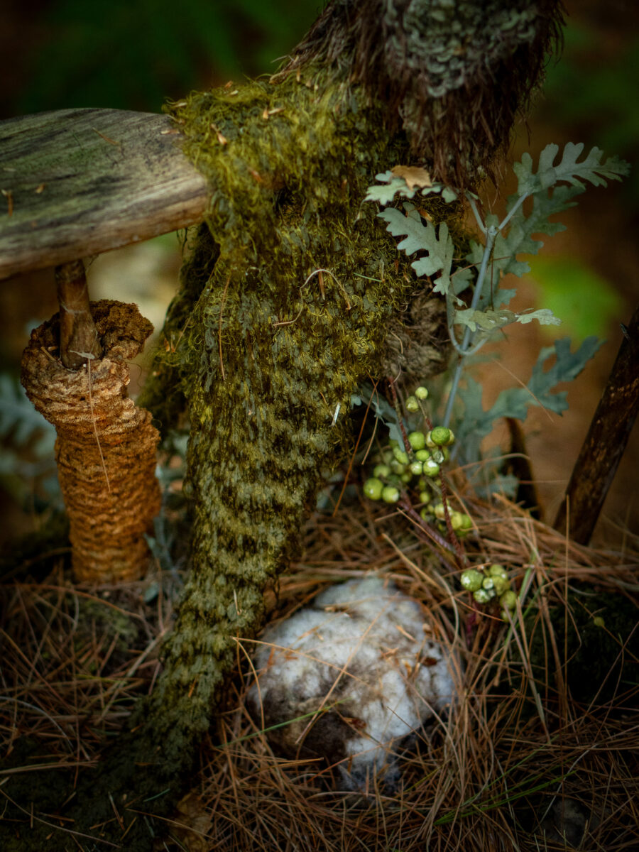 Haliburton Forest Wild Woods Hike Chair Art